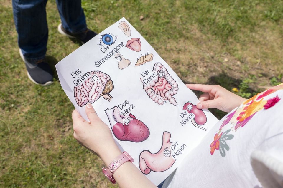 Eine Jugendliche hält einen Zettel in den Händen. Auf ihm sind Zeichnungen verschiedener Organe des Menschen abgebildet.